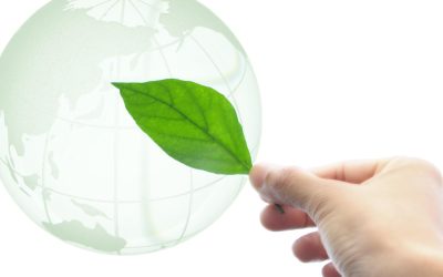 Les Objets Connectés Vont-Ils Vraiment Réduire Nos Factures d&rsquo;Énergie ?