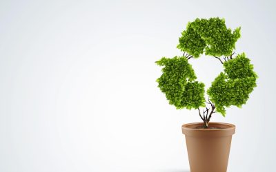 Comment l&rsquo;écologie peut sauver la planète : une étude approfondie des enjeux environnementaux