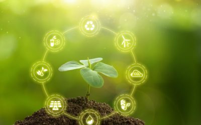 Écologie : Comment sauver notre planète et créer un avenir durable ?