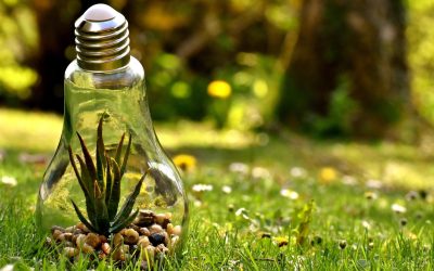 L&rsquo;urgence écologique : agir pour un avenir durable
