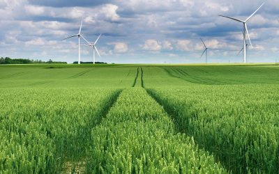Comment l&rsquo;écologie peut-elle sauver notre planète ? Une approche innovante et réaliste