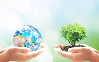 L&rsquo;écologie au cœur de notre avenir : comprendre et agir pour préserver notre planète