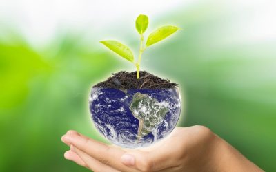 L’écologie : le défi de préserver notre planète pour les générations futures