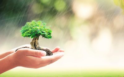 Agir pour la planète : comprendre les enjeux de l’écologie et adopter un mode de vie responsable