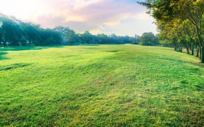 Au cœur de la transition verte : La vérité derrière le mythe de l&rsquo;énergie renouvelable