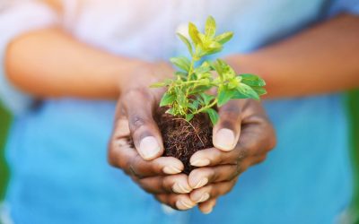 L’urgence écologique : comprendre l’impact de nos actions et agir rapidement