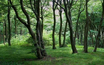 La face cachée des économiseurs d&rsquo;écran : plus énergivores que jamais ?