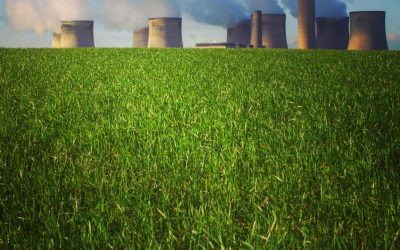 Comment l&rsquo;écologie peut sauver notre planète : Enjeux, solutions et perspectives d&rsquo;avenir