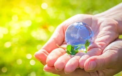Pour une planète en équilibre : les enjeux de l’écologie à l’échelle mondiale