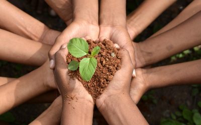 L’écologie en action : agir ensemble pour un avenir vert et durable