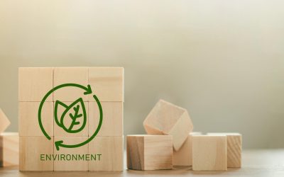 L’écologie, notre avenir en péril : comprendre les enjeux et agir maintenant pour sauver notre planète
