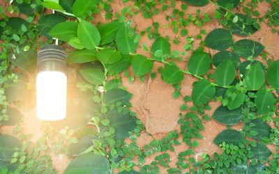 L&rsquo;Isolation Maison, un Acte de Résistance : Comment Réduire Votre Empreinte Carbone et défier les Multiples Crises Climatiques