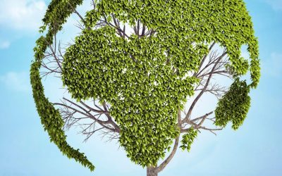 Redonner vie à notre planète : Les enjeux de l’écologie à l’ère du changement climatique