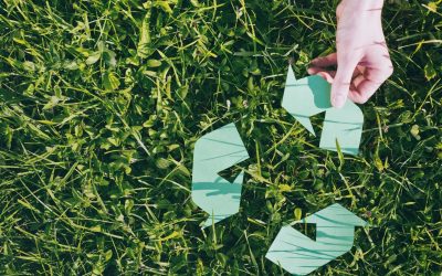 Vers un avenir plus vert : Comment l’écologie peut sauver notre planète et nos vies