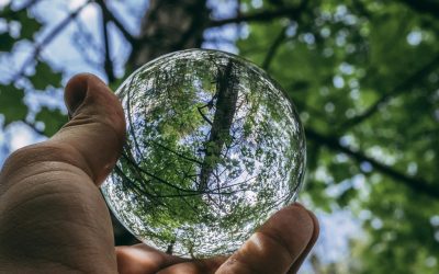 Quand l&rsquo;écologie sauve votre compte bancaire : Les secrets de la RSE