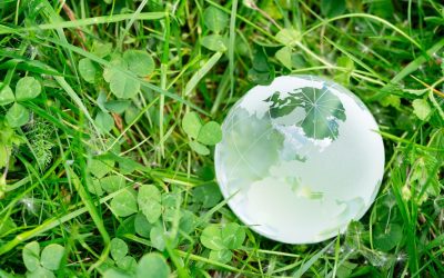 Ils ont hacké la RSE : Les startups qui réinventent la responsabilité sociale