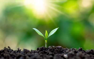 Comment l’écologie peut-elle sauver notre planète : découvrez les solutions pour un avenir durable