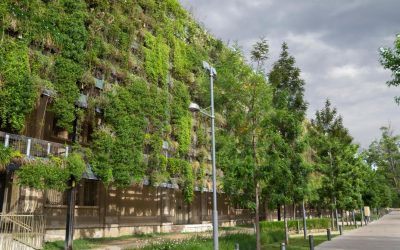 L&rsquo;urgence écologique : Comment agir pour sauver notre planète